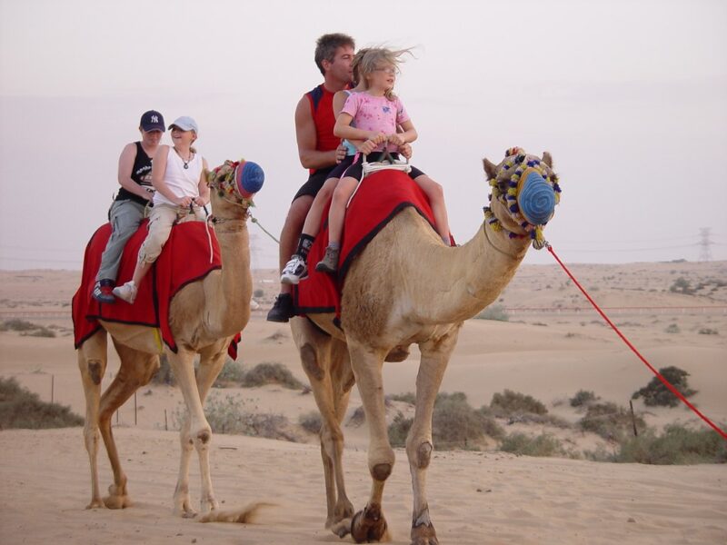 Camel Rides Dubai