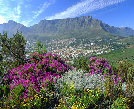 Table Mountain South Africa Bucket List