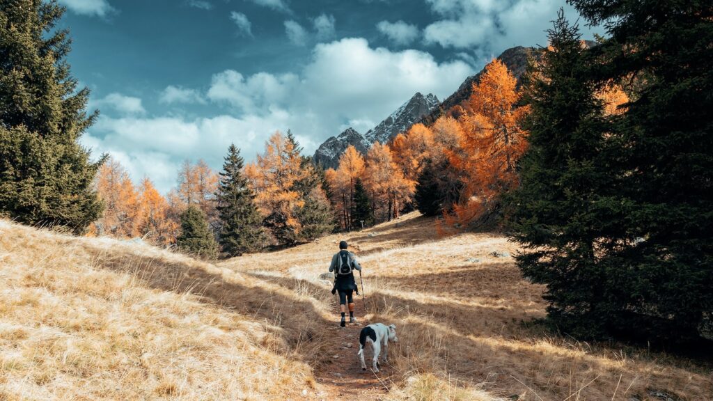 man hiking with dog Pet-Friendly Vacation Destinations