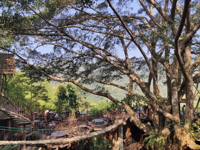 people walking on bridge surrounded by trees during daytime