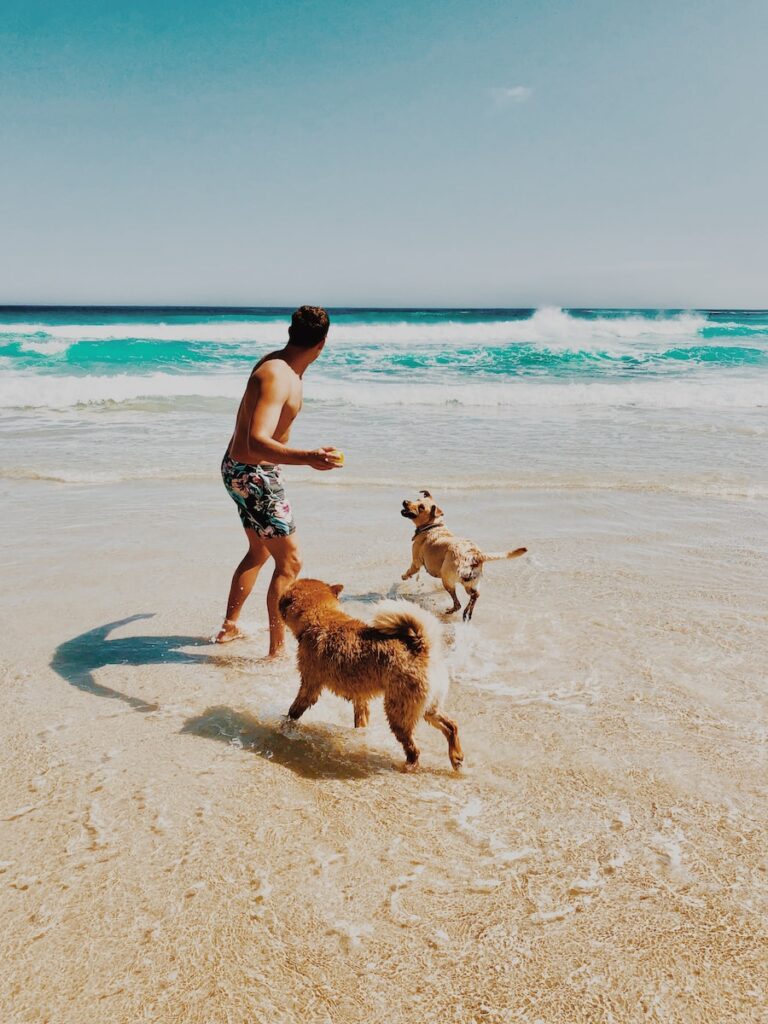 man and dog playing fetch at the beach Pet-Friendly Vacation Destinations