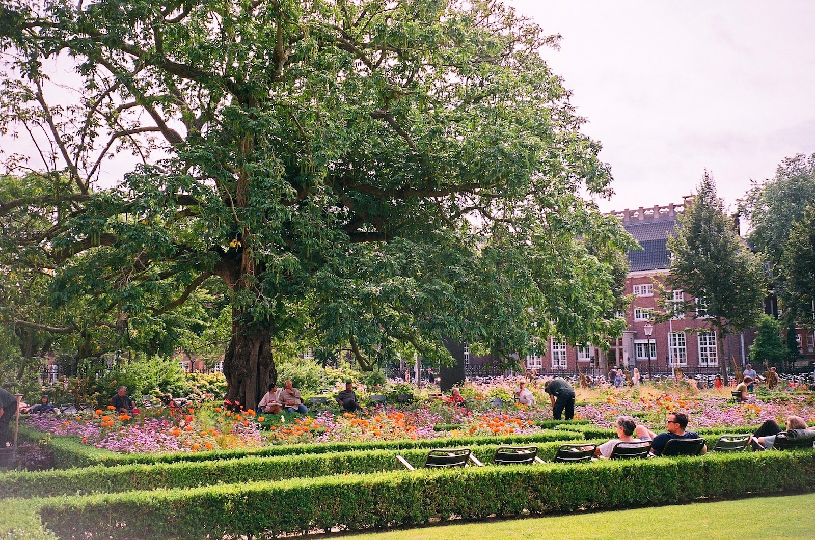 flowers Rijksmuseum 