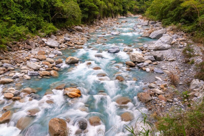 a river running through a lush green forest