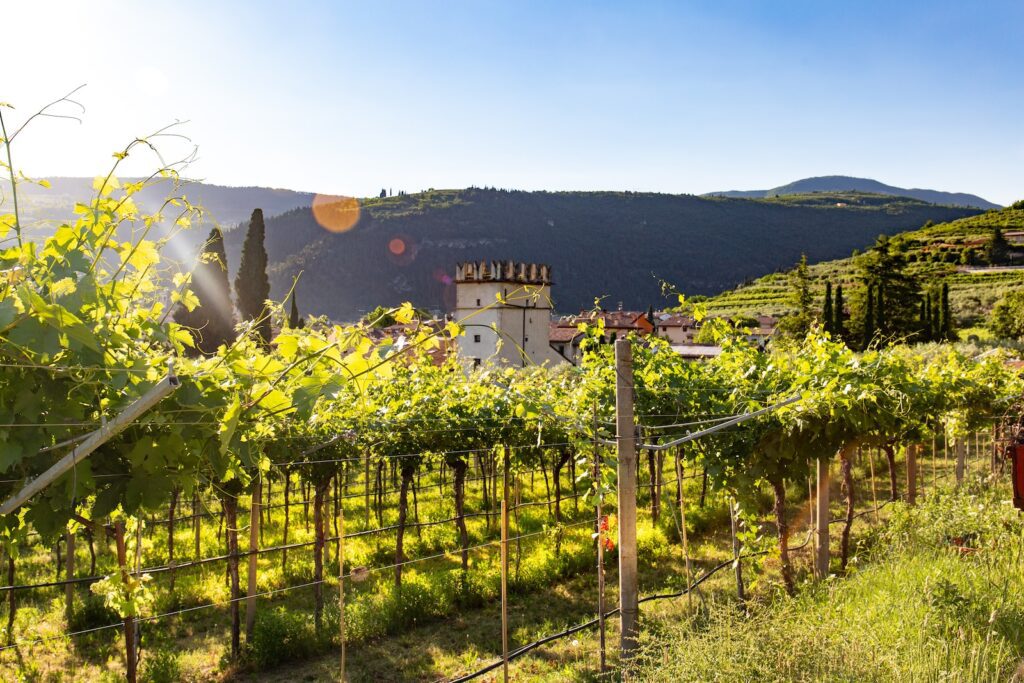 The Valpolicella wine region