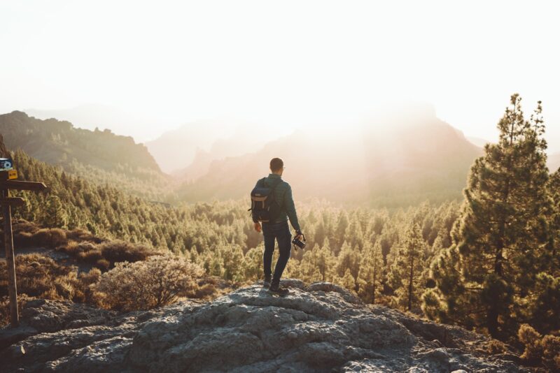 man on hill near forest - best hiking boots for men