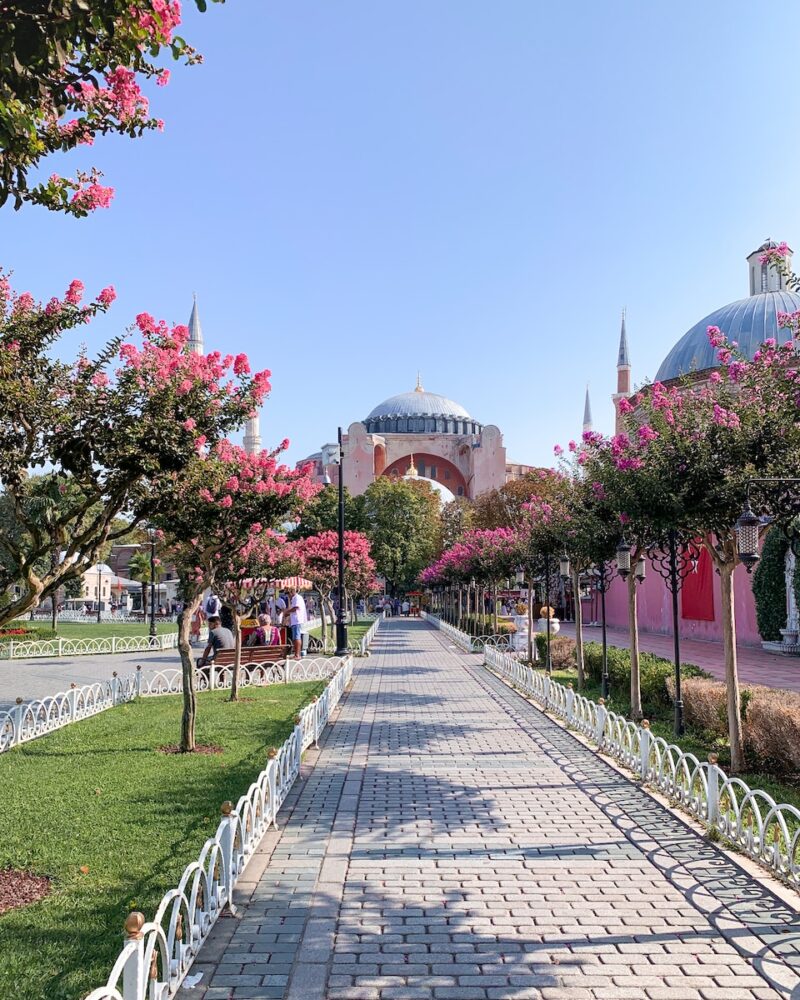 Istanbul flowers and buildings