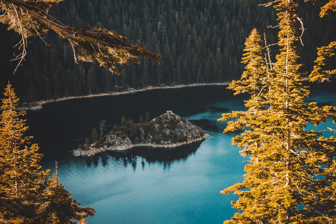 bird's eye view of island near tall trees - fall getaway