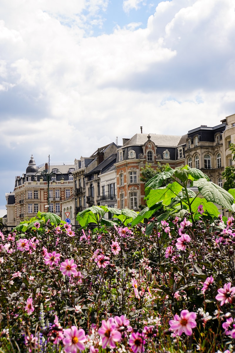 purple flowers a building during daytime in Brussels