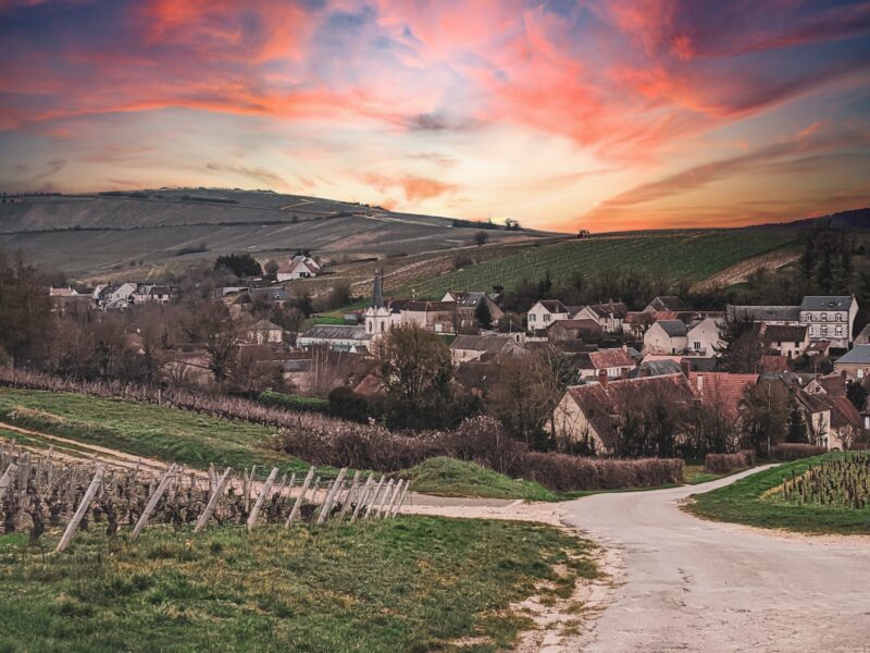 houses on green grass field during sunset in Brussels