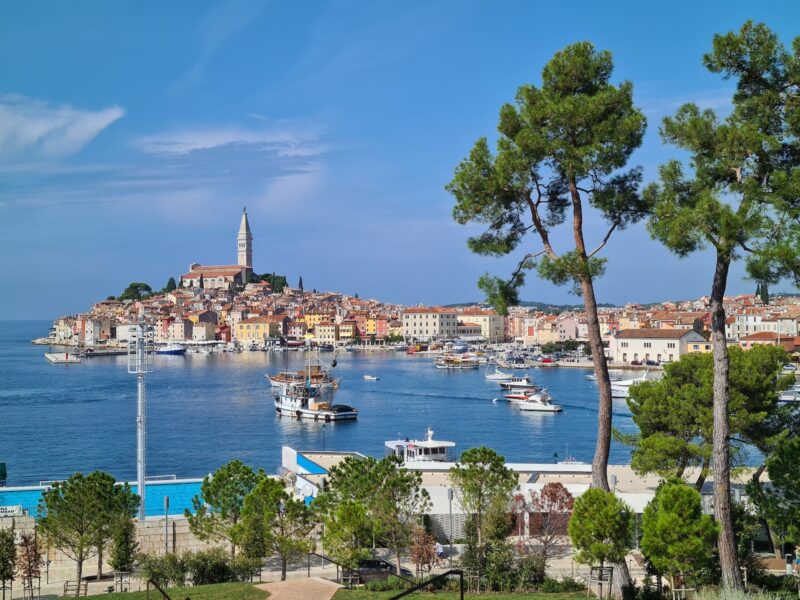 white and blue boat on sea near green trees and buildings under blue sky during daytime