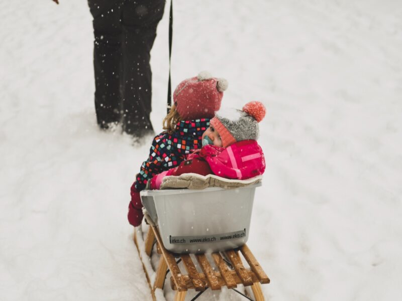 Two kids in sledding. Cold weather