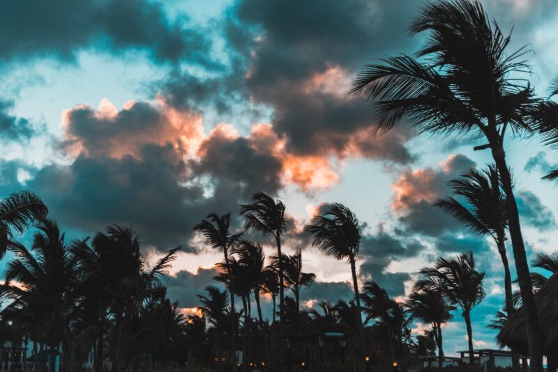  Palm trees during golden hour in Dominican Republic