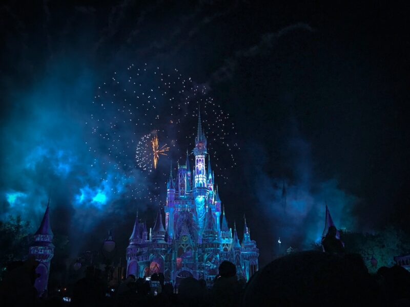 Disney World at night