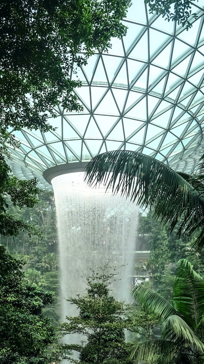 green palm tree near white building