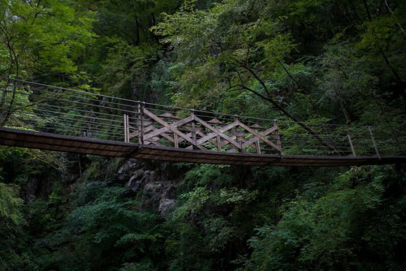 a wooden bridge in the middle of a forest