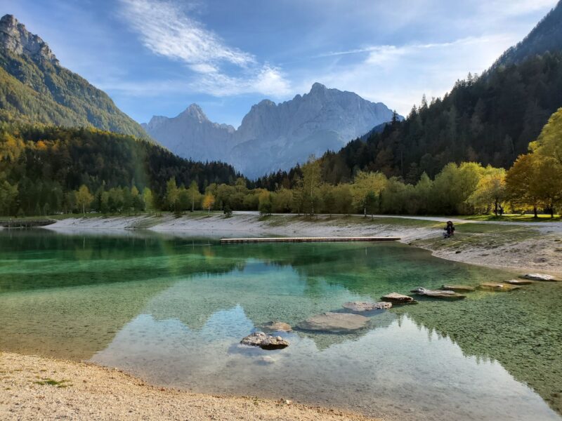 green trees near lake under blue sky during daytime