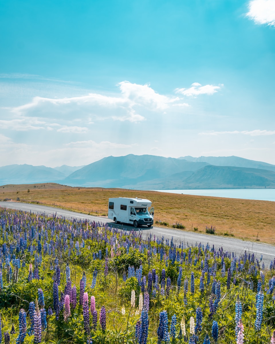 white van on road near green grass field during daytime