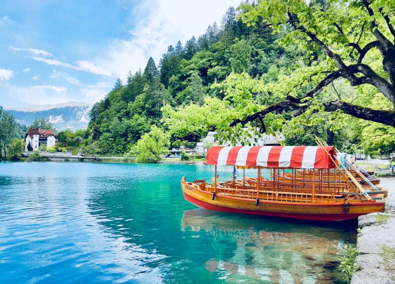 brown wooden boat with white and red striped ceiling dock on gray concrete seawall beside green leaf tree