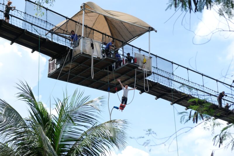 people on top of brown wooden hanging bridge during daytime