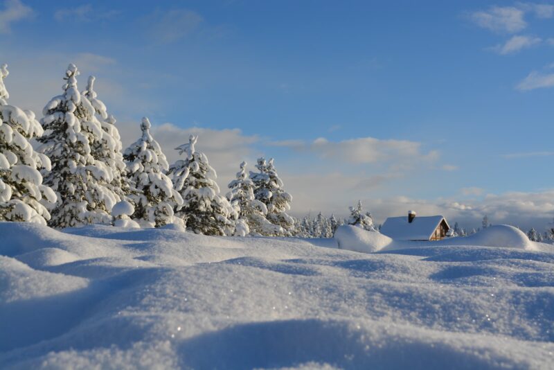 snow-covered trees under blue cloudy sky coldest places on earth