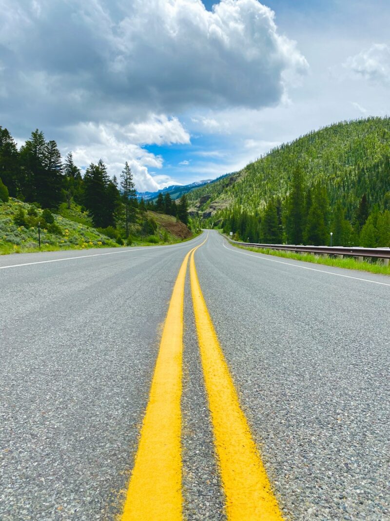 gray concrete road between green trees under blue sky and white clouds during daytime