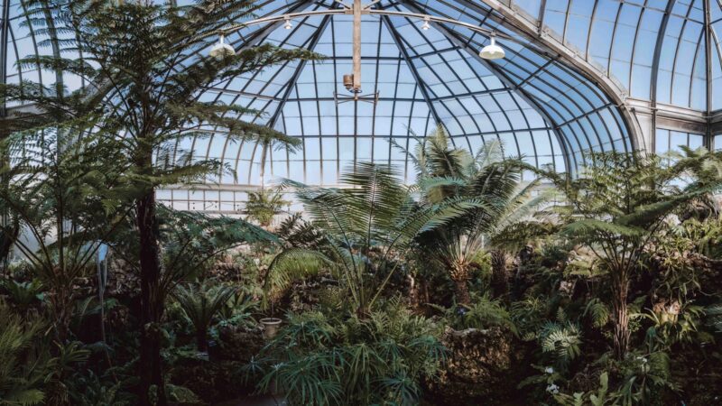 the inside of a greenhouse with lots of trees and plants