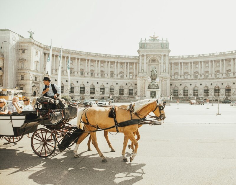 Horse carriage in Vienna