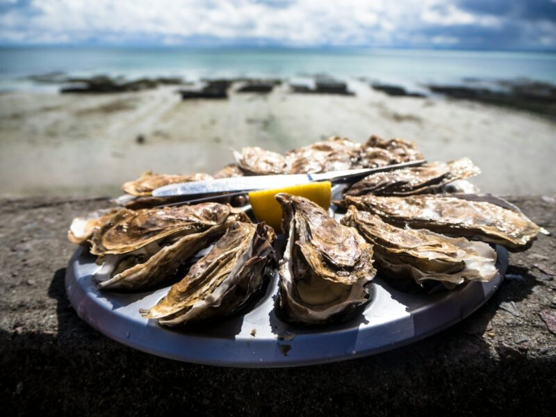 Best Things to Do in the Outer Banks Oysters