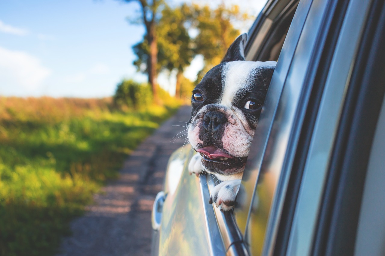 family road trip