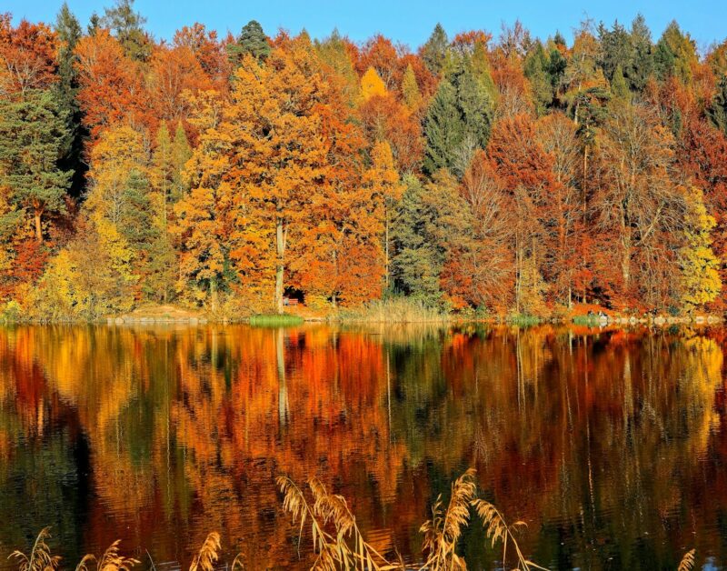 lake sorrounded by trees, fall getaway