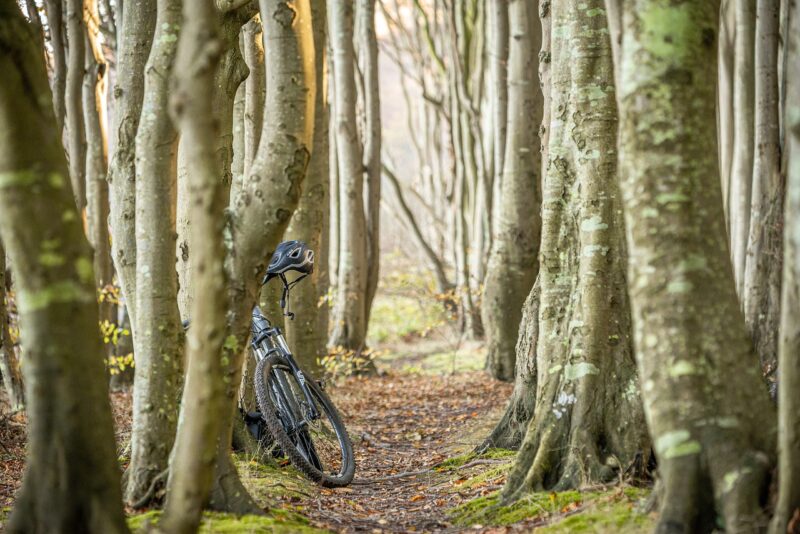 bike, travel, nature