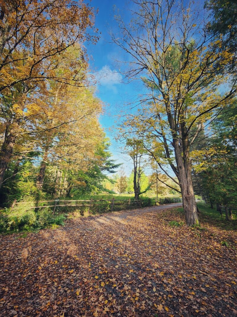 a dirt road surrounded by trees and leaves, vermont, october vacataioin