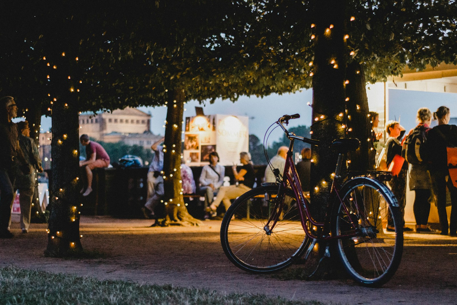 shallow focus photography of bike parked beside tree