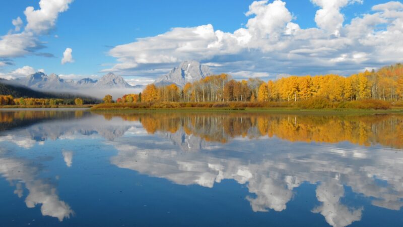 A large body of water surrounded by trees